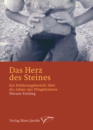 Das Herz des Steines: Ein Erfahrungsbericht über die Arbeit mit Pflegekindern