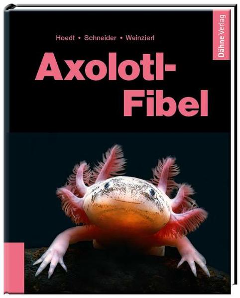 Axolotl-Fibel von Daehne Verlag