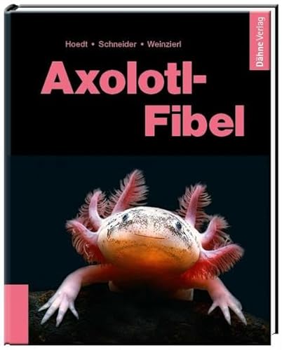 Axolotl-Fibel: Ein Exot erobert unsere Aquarien