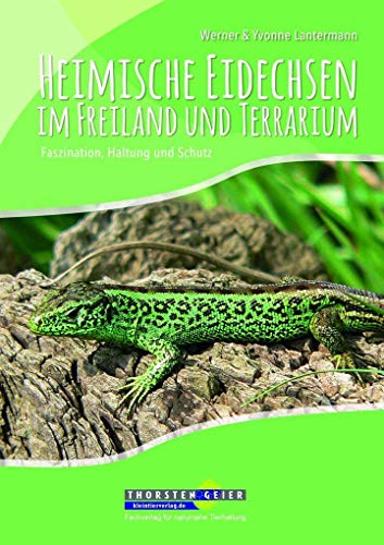 Heimische Eidechsen im Freiland und Terrarium: Faszination, Haltung und Schutz von Kleintierverlag.de