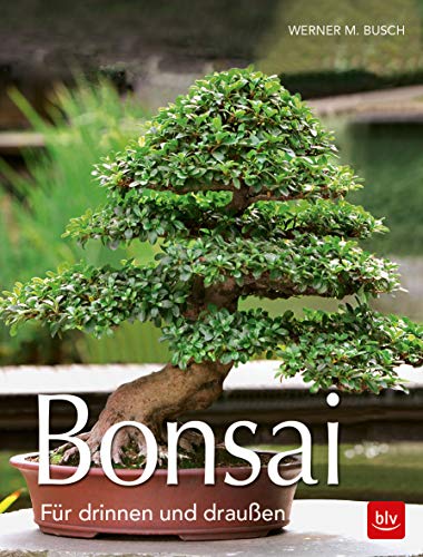 Bonsai: Für draußen und drinnen (BLV Pflanzenpraxis)