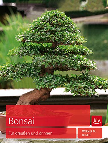 Bonsai: Für draußen und drinnen (BLV Pflanzenpraxis)