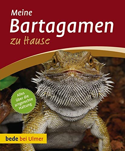 Meine Bartagamen zu Hause: Alles über die Artgerechte Haltung