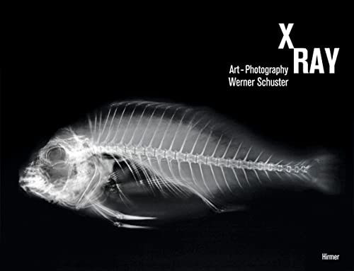 X-Ray: Art Photography X-Ray: Art Photography