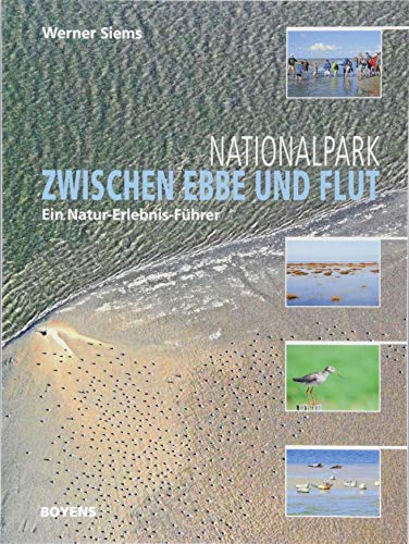 Nationalpark zwischen Ebbe und Flut: Ein Natur-Erlebnis-Führer von Boyens Buchverlag
