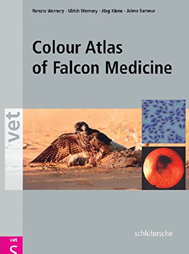 Colour Atlas of Falcon Medicine von Schluetersche