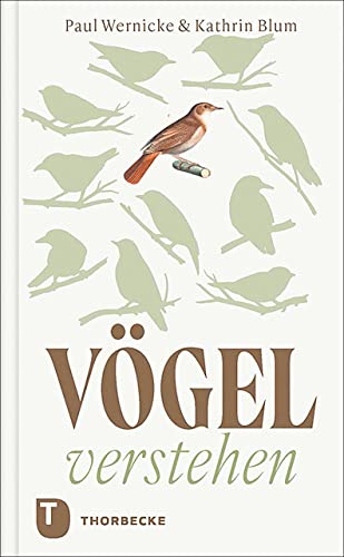 Vögel verstehen: Was uns die Vögel über uns und unsere Umwelt verraten von Jan Thorbecke Verlag