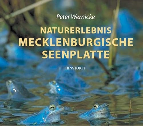 Naturerlebnis Mecklenburgische Seenplatte