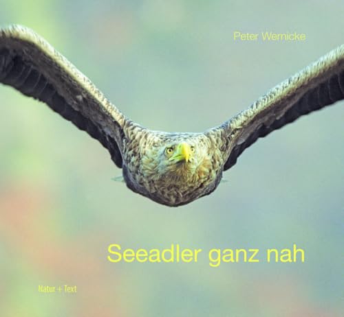 Seeadler ganz nah Seeadler ganz nah von Natur & Text