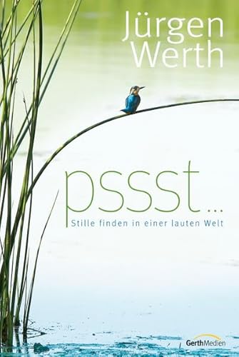Pssst...: Stille finden in einer lauten Welt