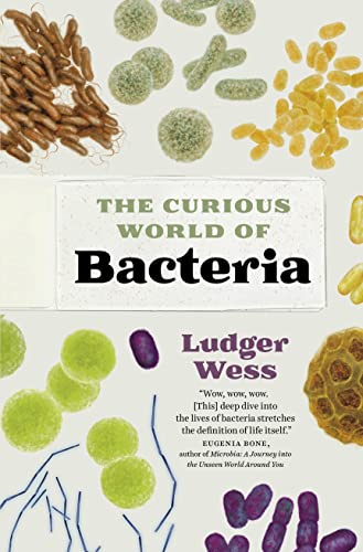 The Curious World of Bacteria: A Curious Collection from a Microscopic World von Greystone Books