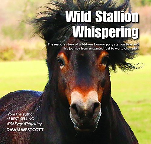 Wild Stallion Whispering: The Real-Life Story of Wild-Born Exmoor Pony Stallion Bear and His Journey from Unwanted Foal to World Champion von imusti