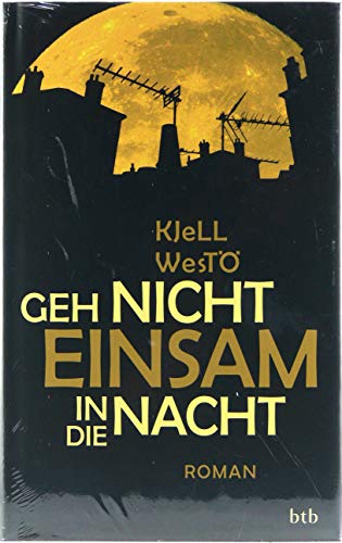 Geh nicht einsam in die Nacht: Roman