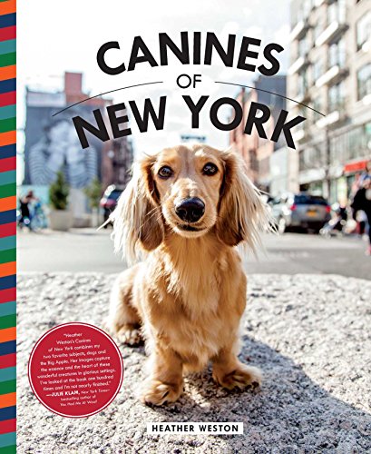 Canines of New York von Weldon Owen