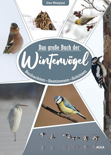 Das große Buch der Wintervögel: Beobachten – Bestimmen – Schützen