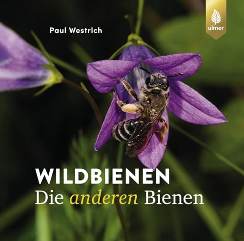 Wildbienen, die anderen Bienen Wildbienen, die anderen Bienen von Ulmer Eugen Verlag