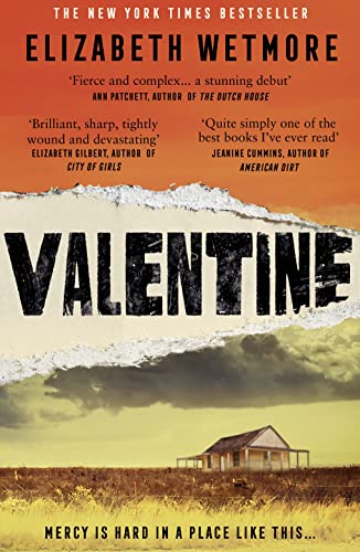 Valentine: A Stunning Debut and a New York Times Bestseller