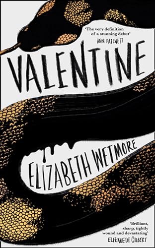 Valentine: A Stunning Debut and a New York Times Bestseller