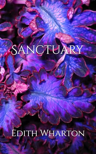 Sanctuary: A Journey Through Moral Choices Sanctuary: A Journey Through Moral Choices von Independently published
