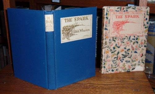 The Spark The Spark von Anson Street Press