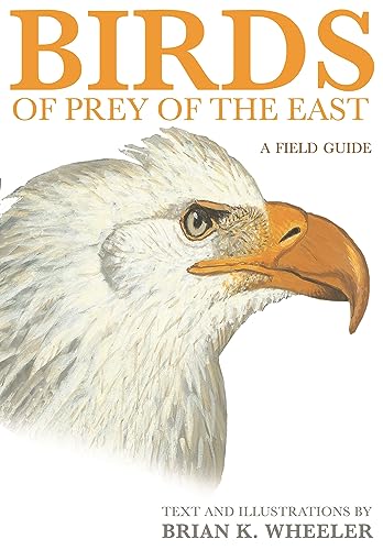 Birds of Prey of the East: A Field Guide von Princeton University Press