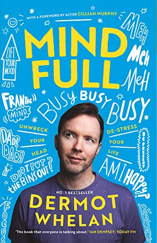 Mind Full: Unwreck your head, De-stress your life von Gill Books