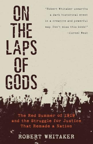 On the Laps of Gods: The Red Summer of 1919 and the Struggle for Justice That Remade a Nation von Broadway Books