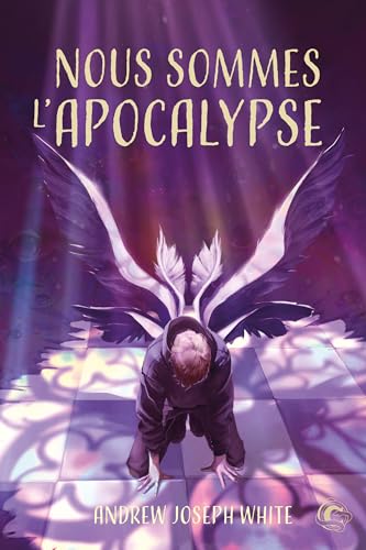 Nous sommes l'Apocalypse (Édition reliée) von CONSEQUENCES