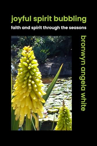 Joyful Spirit Bubbling: Faith and Spirit Through the Seasons von Independently published