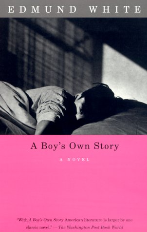 A Boy's Own Story (Vintage International)