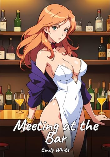 Meeting at the Bar: Sexy Erotic Stories for Adults Illustrated with Hentai Images – Naked Illustrations (Erotic Sexy Stories Collection with Explicit ... and Beautiful Girls. Only for Adults 18+.) von Emily White
