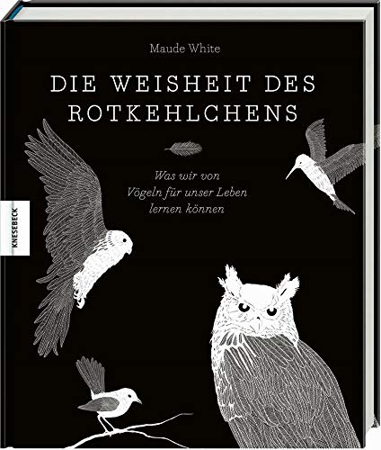 Die Weisheit des Rotkehlchens: Was wir von Vögeln für unser Leben lernen können