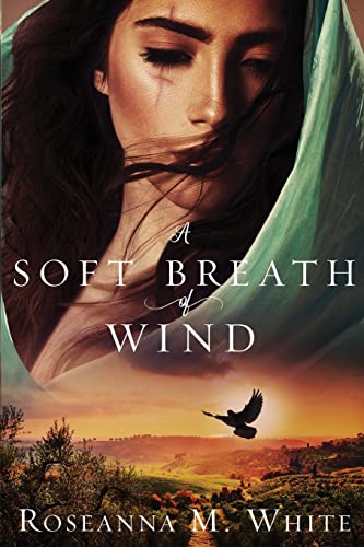 A Soft Breath of Wind (A Visibullis Story, Band 2)