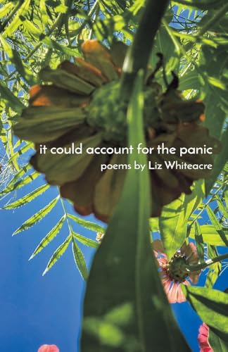 it could account for the panic von Finishing Line Press