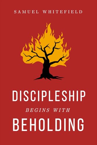 Discipleship Begins with Beholding