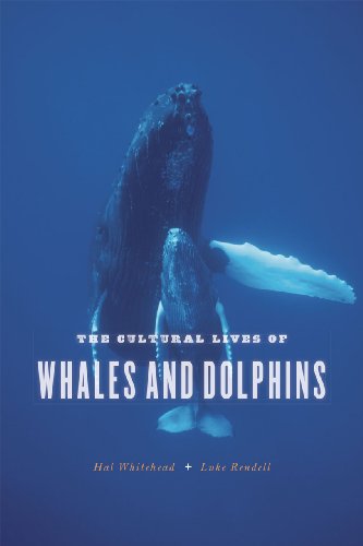 The Cultural Lives of Whales and Dolphins (Emersion: Emergent Village resources for communities of faith) von University of Chicago Press