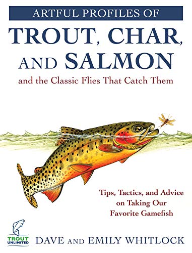 Artful Profiles of Trout, Char, and Salmon and the Classic Flies That Catch Them: Tips, Tactics, and Advice on Taking Our Favorite Gamefish