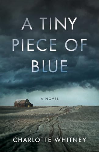 A Tiny Piece of Blue: A Novel A Tiny Piece of Blue: A Novel von She Writes Press