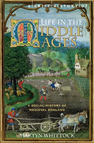 A Brief History of Life in the Middle Ages (Brief Histories) von Robinson