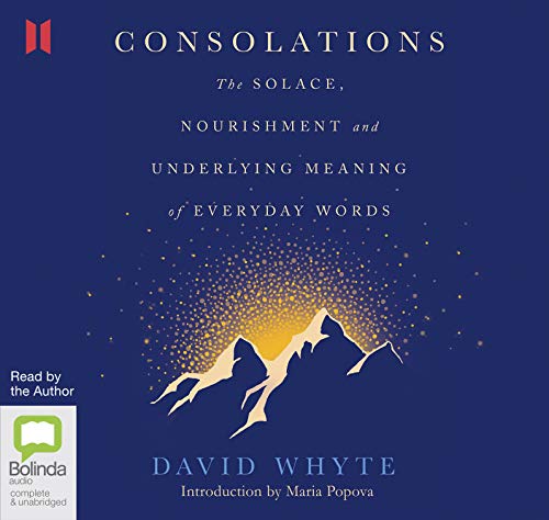 Consolations: The Solace, Nourishment and Underlying Meaning of Everyday Words von Bolinda/Canongate audio