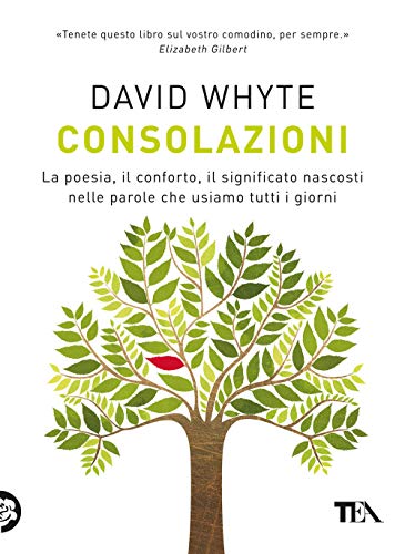 Consolazioni. La poesia, il conforto, il significato nascosti nelle parole che usiamo tutti i giorni (TEA Varia)