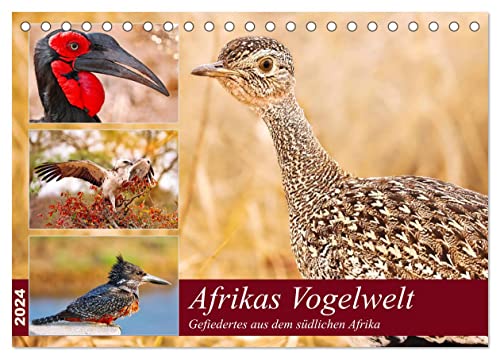 Afrikas Vogelwelt 2024 (Tischkalender 2024 DIN A5 quer), CALVENDO Monatskalender von CALVENDO