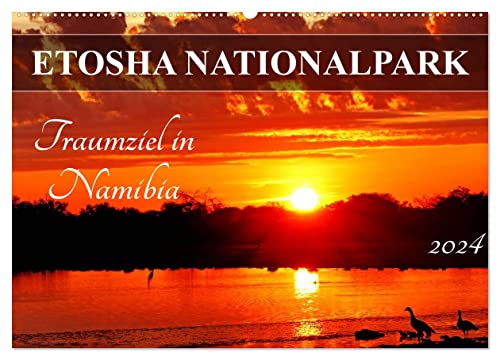 ETOSHA NATIONALPARK Traumziel in Namibia (Wandkalender 2024 DIN A2 quer), CALVENDO Monatskalender