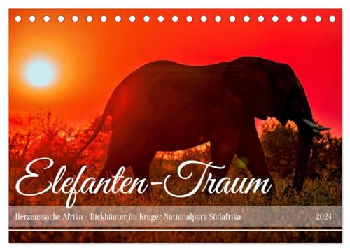 Elefanten-Traum - Herzenssache Afrika (Tischkalender 2024 DIN A5 quer), CALVENDO Monatskalender: Dickhäuter im Kruger Nationalpark Südafrika (CALVENDO Tiere)