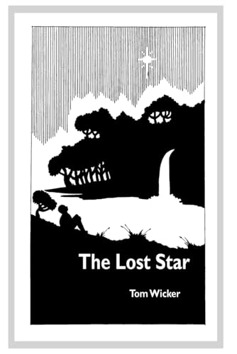 The Lost Star: A Christmas Tale von Independently published