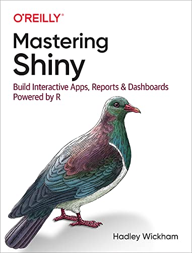 Mastering Shiny: Build Interactive Apps, Reports, and Dashboards Powered by R von O'Reilly UK Ltd.