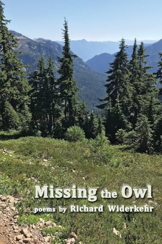 Missing the Owl von Shanti Arts LLC