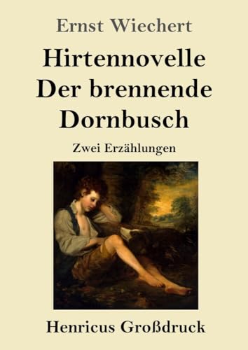 Hirtennovelle / Der brennende Dornbusch (Großdruck): Zwei Erzählungen von Henricus