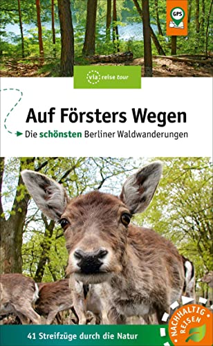 Auf Försters Wegen: Die schönsten Berliner Waldwanderungen