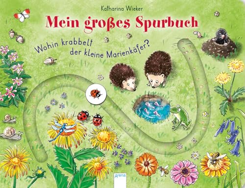 Wohin krabbelt der kleine Marienkäfer?: Mein großes Spurbuch von Arena Verlag GmbH